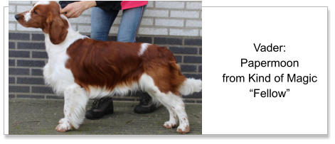 Vader:Papermoonfrom Kind of Magic “Fellow”